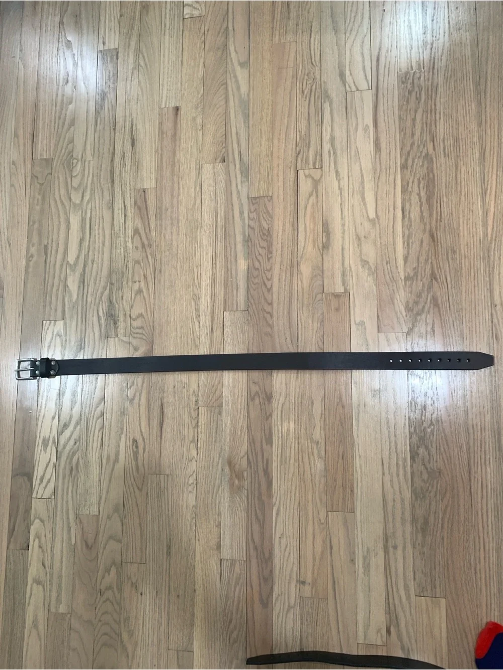 Saddleback Old Bull Leather Belt (32”, black)